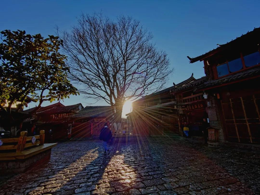 藍天暖陽，古巷冬花，它當(dāng)屬滇西北最安逸的日光之城！