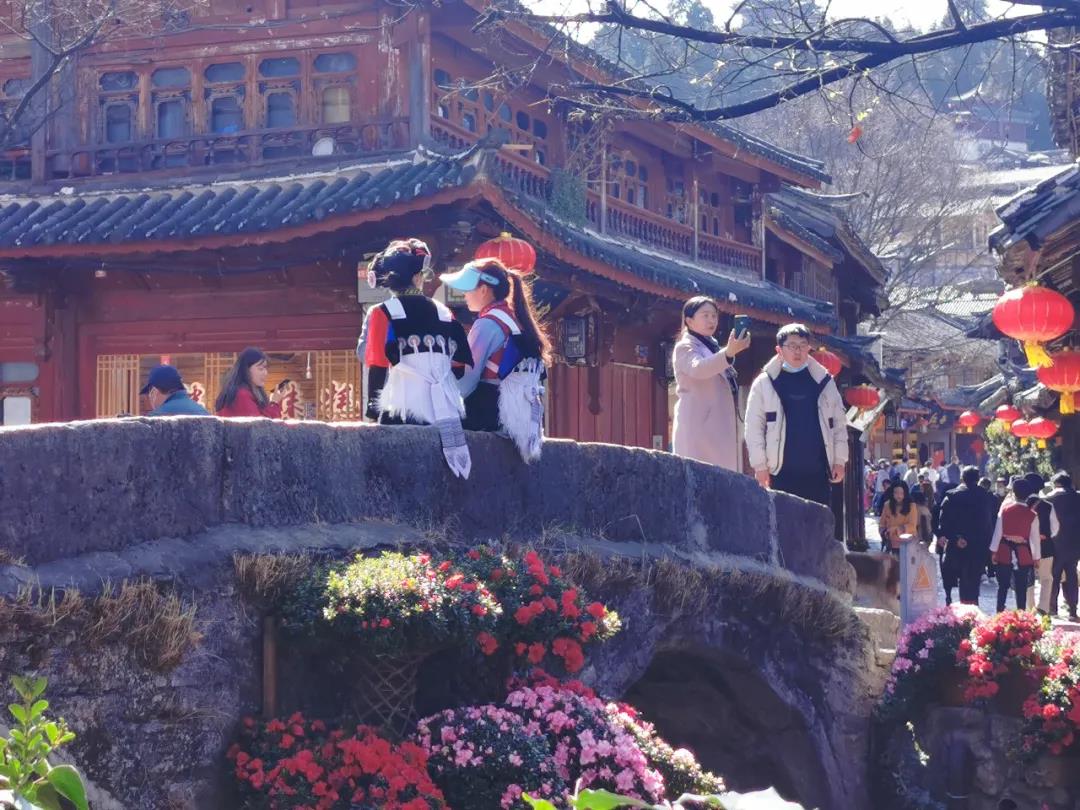來麗江古城，感受花團錦簇、欣欣向榮