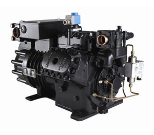 �������s�C(j��)